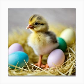Easter Chick 6 Canvas Print