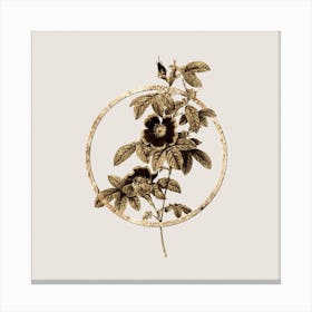 Gold Ring Single May Rose Glitter Botanical Illustration n.0217 Canvas Print