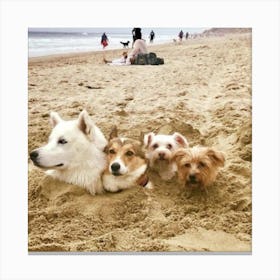 Dogs In The Sand Canvas Print