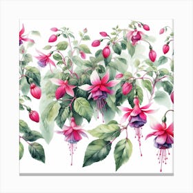 Flowers of Fuchsia Canvas Print