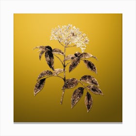 Gold Botanical Elderberry Flowering Plant on Mango Yellow n.1049 Canvas Print