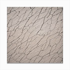 Cracked Wall Canvas Print