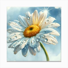 Daisy 11 Canvas Print