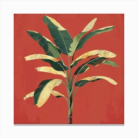 Banana Tree 7 Canvas Print