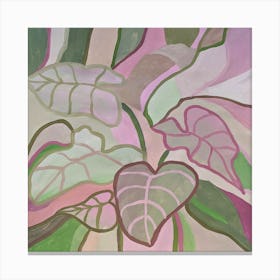 The leaves are pink and green Canvas Print