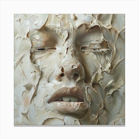 'The Face' 1 Canvas Print