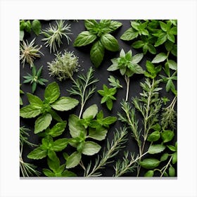Fresh Herbs On A Black Background 5 Canvas Print