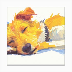 Dog Sleeping Canvas Print