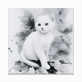 Black and White British Shorthair Kitten Canvas Print