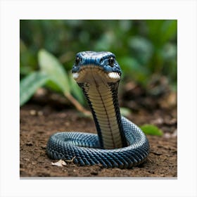 Blue Snake 1 Canvas Print