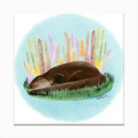 Otter/Loutre Canvas Print
