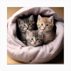 Fluffy Kittens Napping in a Cozy Blanket Nest Canvas Print