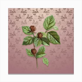 Vintage Carolina Allspice Flower Botanical on Dusty Pink Pattern Canvas Print
