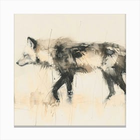 Wolf Steppe Canvas Print