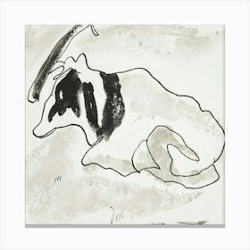 Cow Laying Down Canvas Print