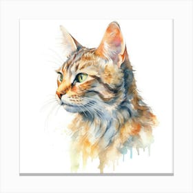 Bavarian Mountain Cat Portrait 3 Canvas Print