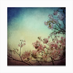 Pink Cherry Blossoms Canvas Print