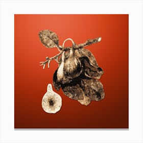 Gold Botanical Fig on Tomato Red n.2358 Canvas Print