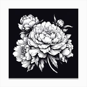 Peony Flower Canvas Print