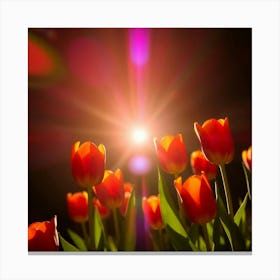 Tulips In The Sun 1 Canvas Print