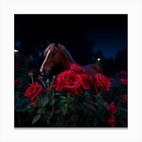 Horse In The Night Canvas Print