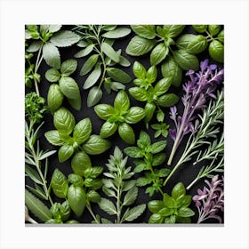 Top View Of Fresh Herbs Canvas Print