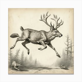 Deer In Flight 1 Canvas Print