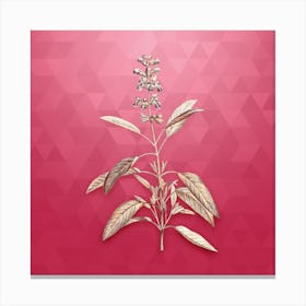 Vintage Sage Plant Botanical in Gold on Viva Magenta Canvas Print