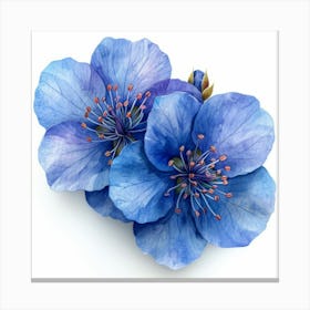 Blue Cherry Blossoms Canvas Print