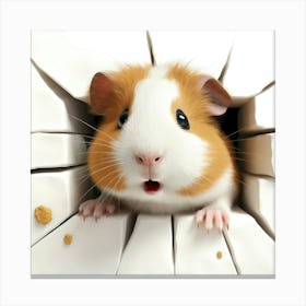 Guinea Pig 15 Canvas Print