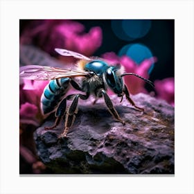 up close sky blue bee on a black rock in a mystical fairytale forest, mountain dew, fantasy, mystical forest, fairytale, beautiful, flower, purple pink and blue tones, dark yet enticing, Nikon Z8 2 Canvas Print