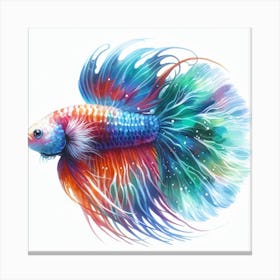 Aquarium fish 7 Canvas Print