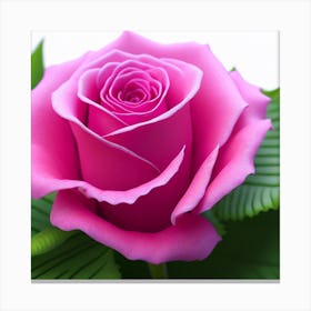 Pink Rose Canvas Print