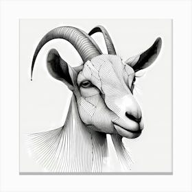 Goat Head - Abstract Line Art Illustration 283 Canvas Print