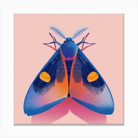 Moth On Pink Canvas Print