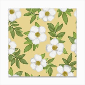 Summer blossoms Canvas Print