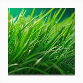 Green Grass 26 Canvas Print
