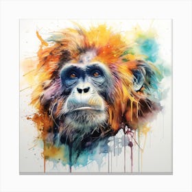 Chimpanzee 1 Canvas Print