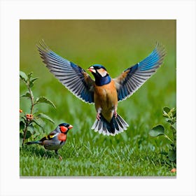 Birds In Flight 26 Canvas Print