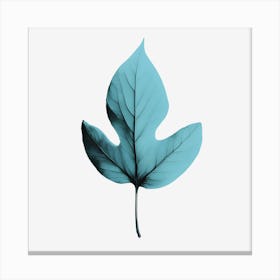 Leaf Art Canvas Print