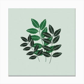 Leaves Branche Plant Botanical Boho Bohemian Style Retro Vintage Canvas Print