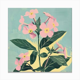Phlox Square Flower Illustration Canvas Print