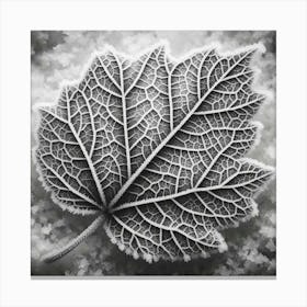Winter leaf Canvas Print