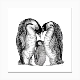 Penguins Square Canvas Print
