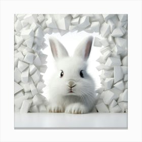 White Bunny Canvas Print