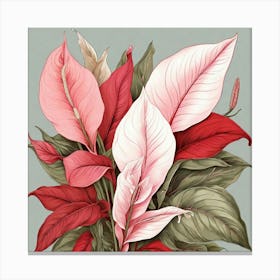 Pink And Red Plant Illustration Peace Lily Art Print 1 Canvas Print