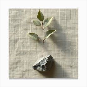  'Nature's Balance', a piece that portrays the delicate equilibrium between the organic and the inorganic. A single, verdant branch sprouting from a rugged stone offers a powerful juxtaposition against a backdrop of textured linen.  Natural Equilibrium, Organic-Inorganic Juxtaposition, Textured Linen.  #NaturesBalance, #OrganicArt, #InorganicTexture.  'Nature's Balance' is an art piece that symbolizes growth and resilience, making it a profound addition to any space. Ideal for those who seek to bring elements of nature and a sense of calm into their environment, this work captures the simple purity of life's persistence against all odds. Canvas Print