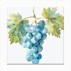 Watercolor Grapes 1 Canvas Print