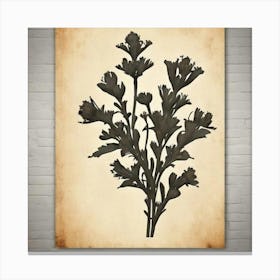 Botanical Print Canvas Print