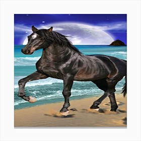 Black Horse On The Beach Canvas Print